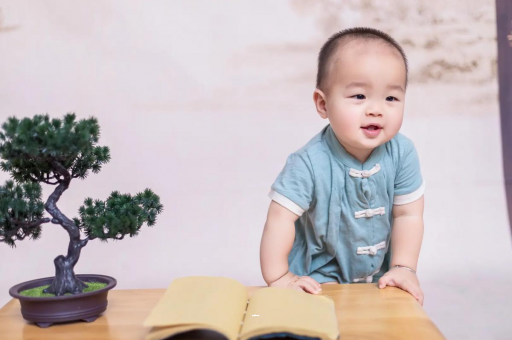 迁西可爱的企鹅宝宝